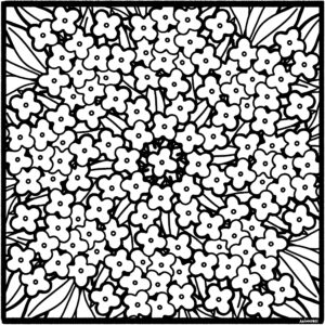 Hydrangea Flower and Leaf Mandala