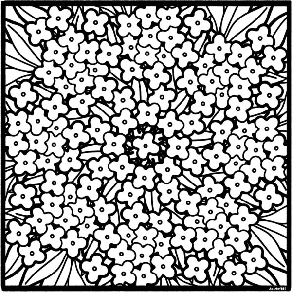 Hydrangea Flower and Leaf Mandala